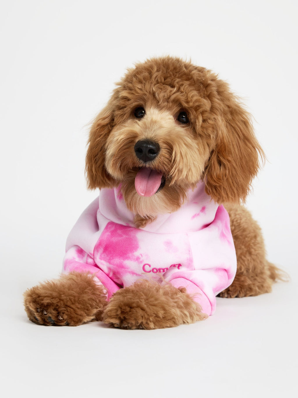 Minimalist Paw Hoodie